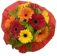 Florist Highgate - Gerbera Bouquet